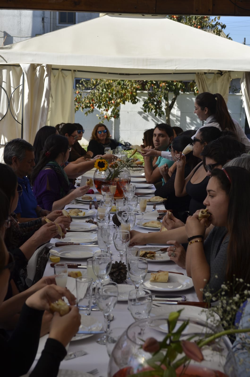 Salón Viña 5