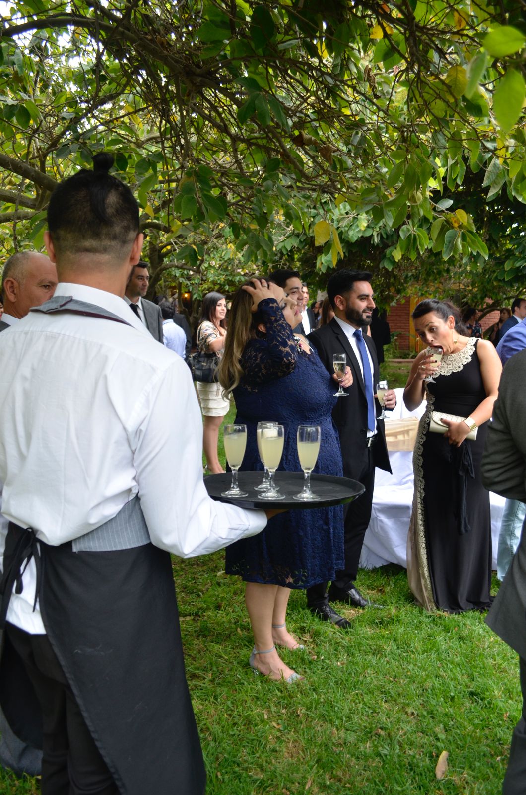 Garzon Recepcion Jardin